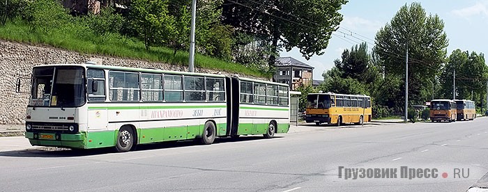 Вероятно, последний сочленённый Ikarus 280, который сейчас развозит школьников